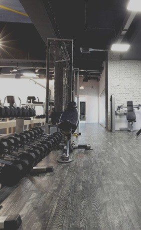 treniruokliai internetu