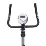 dviratis treniruoklis