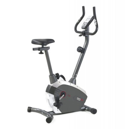 dviratis treniruoklis